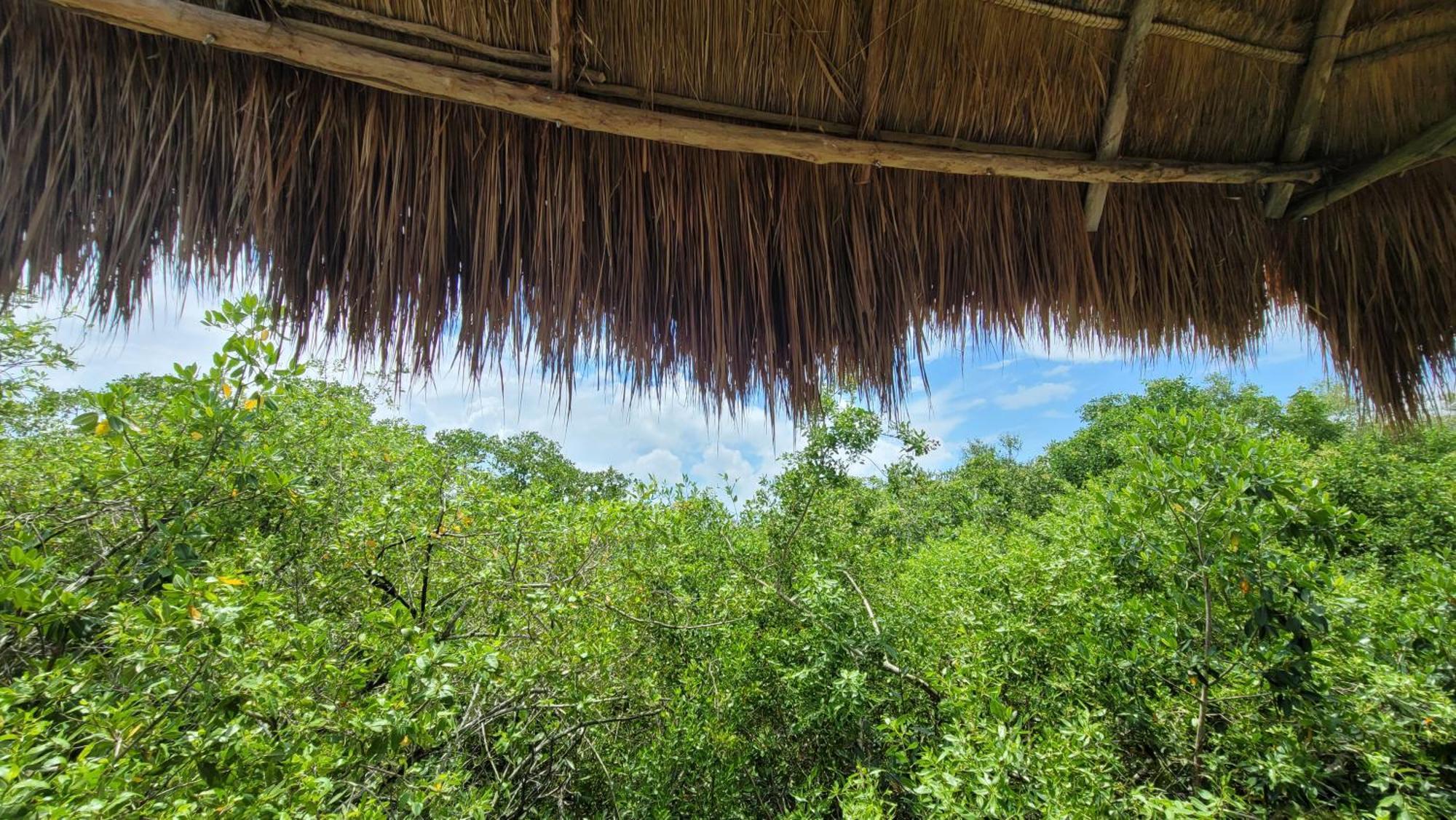 Hotel Cormoran Tulum & Cenote 외부 사진